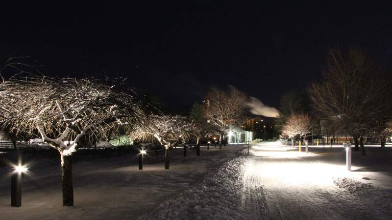 2019-10/hupisaaret-park-oulu-05